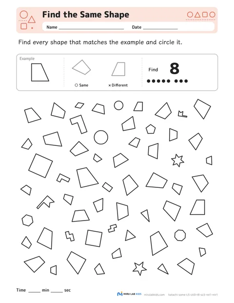 Find the Same Shape Level 5 No. 4