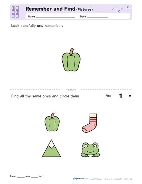 Remember and Find: Pictures Level 1 No. 3