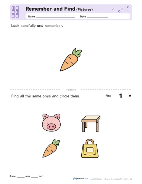 Remember and Find: Pictures Level 1 No. 5