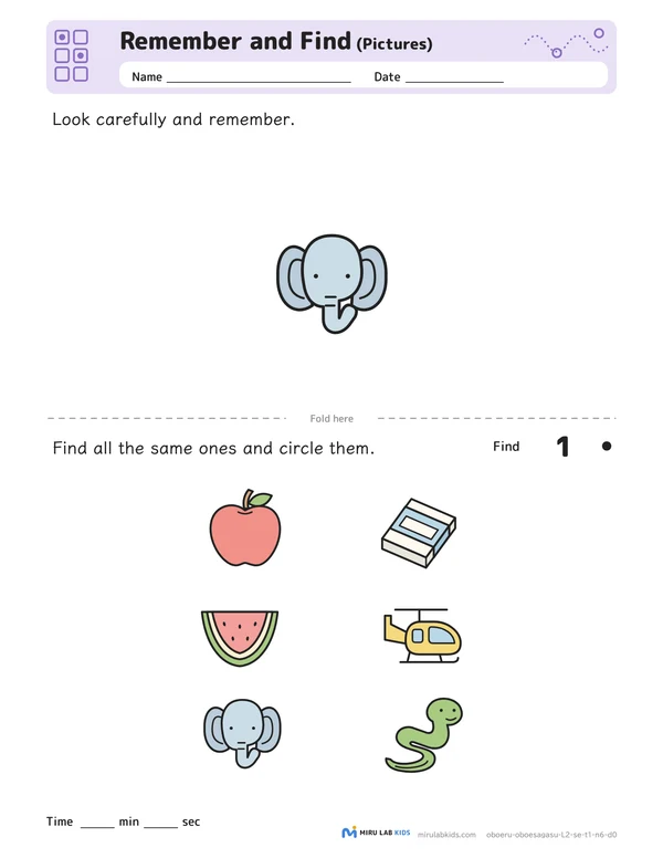 Remember and Find: Pictures Level 2 No. 2 worksheet