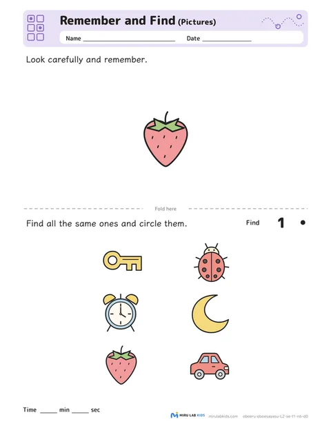 Remember and Find: Pictures Level 2 No. 5