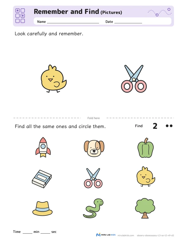 Remember and Find: Pictures Level 3 No. 2 worksheet