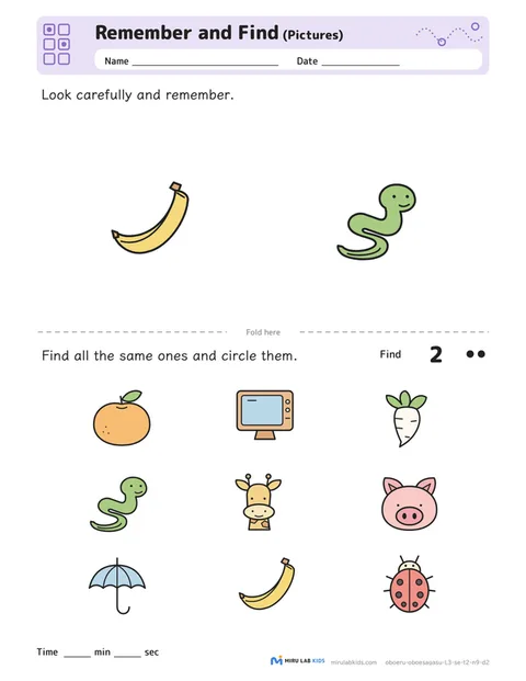 Remember and Find: Pictures Level 3 No. 3