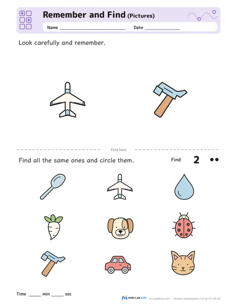 Remember and Find: Pictures Level 3 No. 4