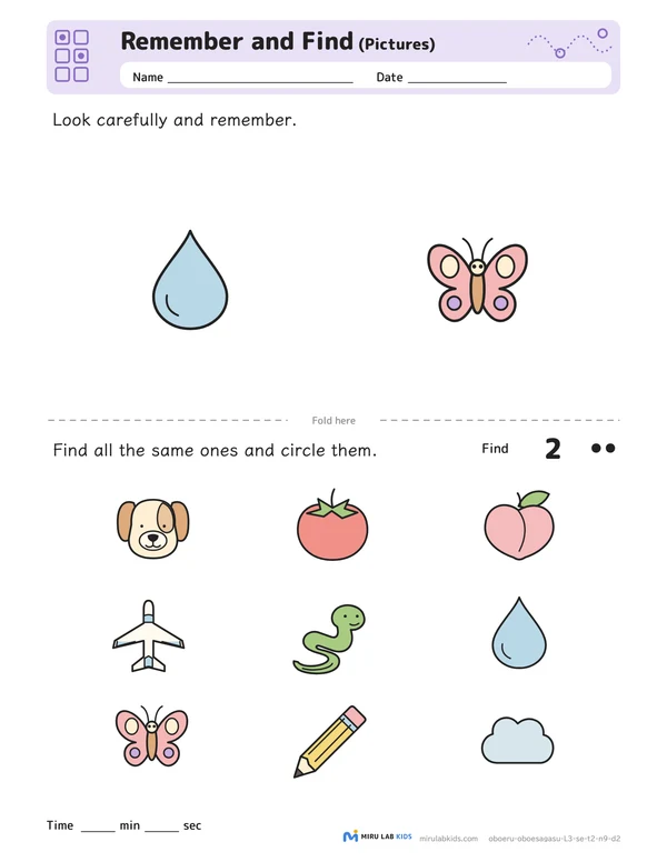 Remember and Find: Pictures Level 3 No. 5 worksheet