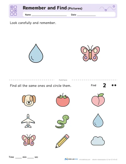 Remember and Find: Pictures Level 3 No. 5