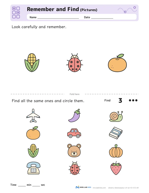 Remember and Find: Pictures Level 4 No. 2 worksheet