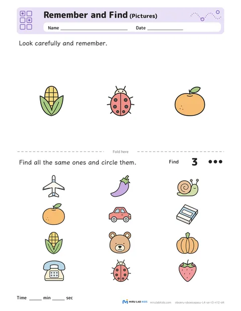 Remember and Find: Pictures Level 4 No. 2