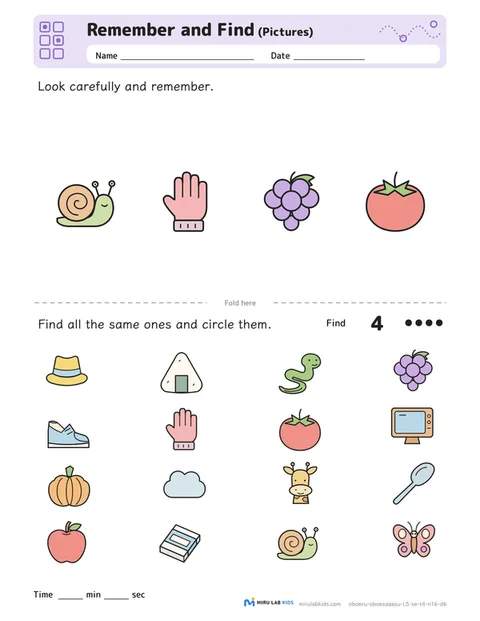 Remember and Find: Pictures Level 5 No. 2