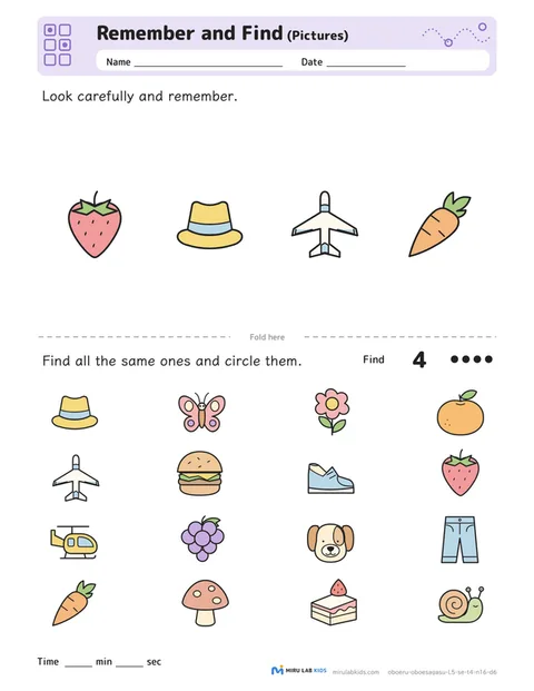 Remember and Find: Pictures Level 5 No. 4