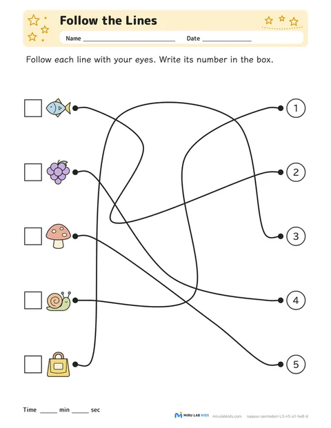 Example of a Follow the Lines worksheet