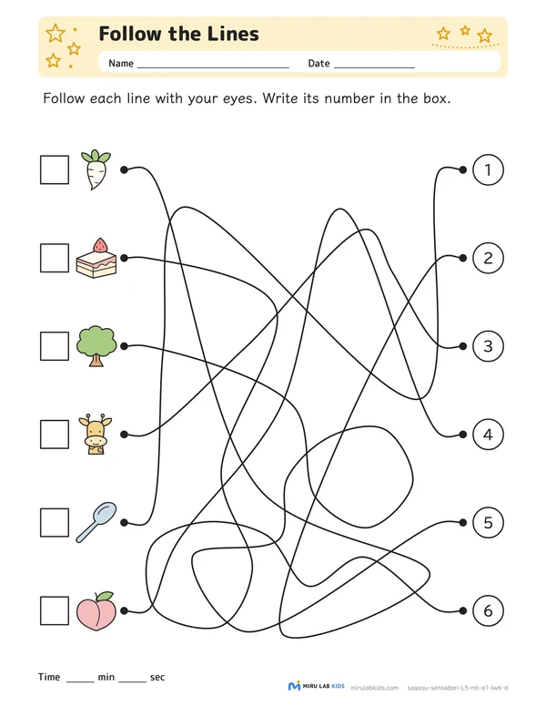 Follow the Lines Level 5 No. 5 worksheet